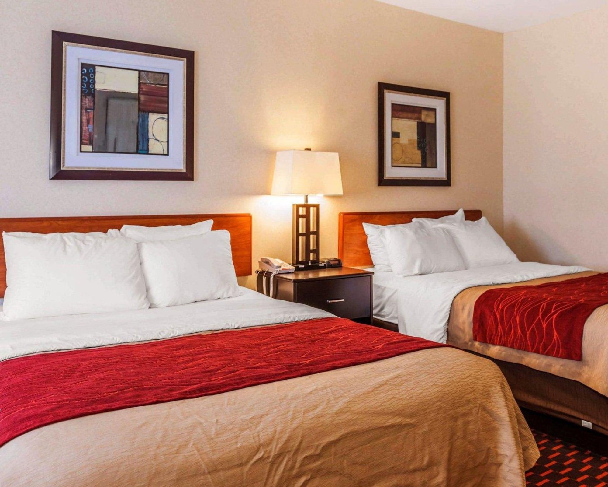 Comfort Inn Avon-Indianapolis West Ngoại thất bức ảnh